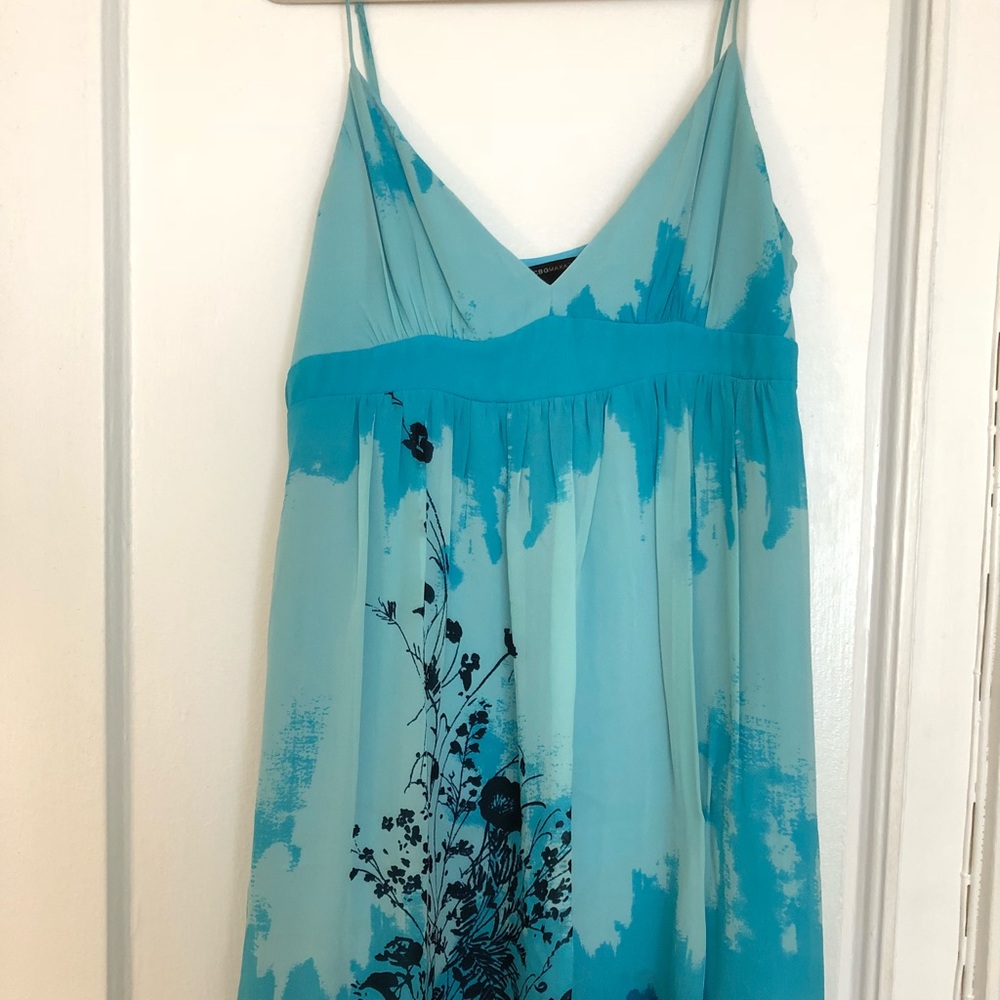 BCBG Max Azria Slip mink dress